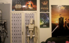 Cardboard Battle Droid, Star Wars curtains, posters