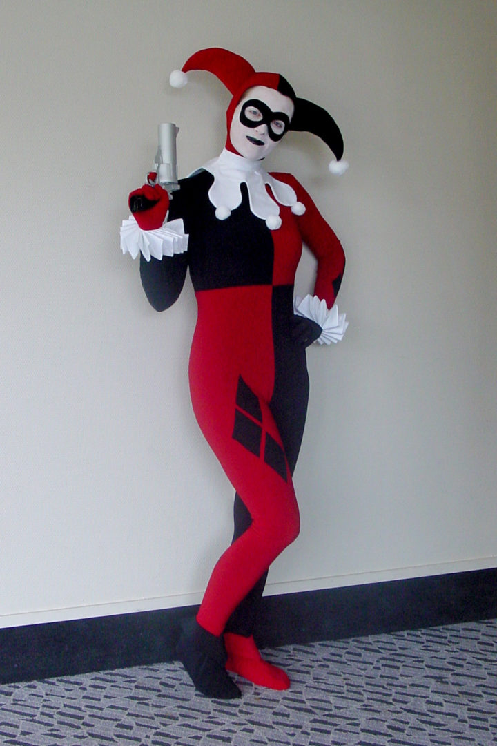 Harley Quinn Costume (Batman: The Animated Series)