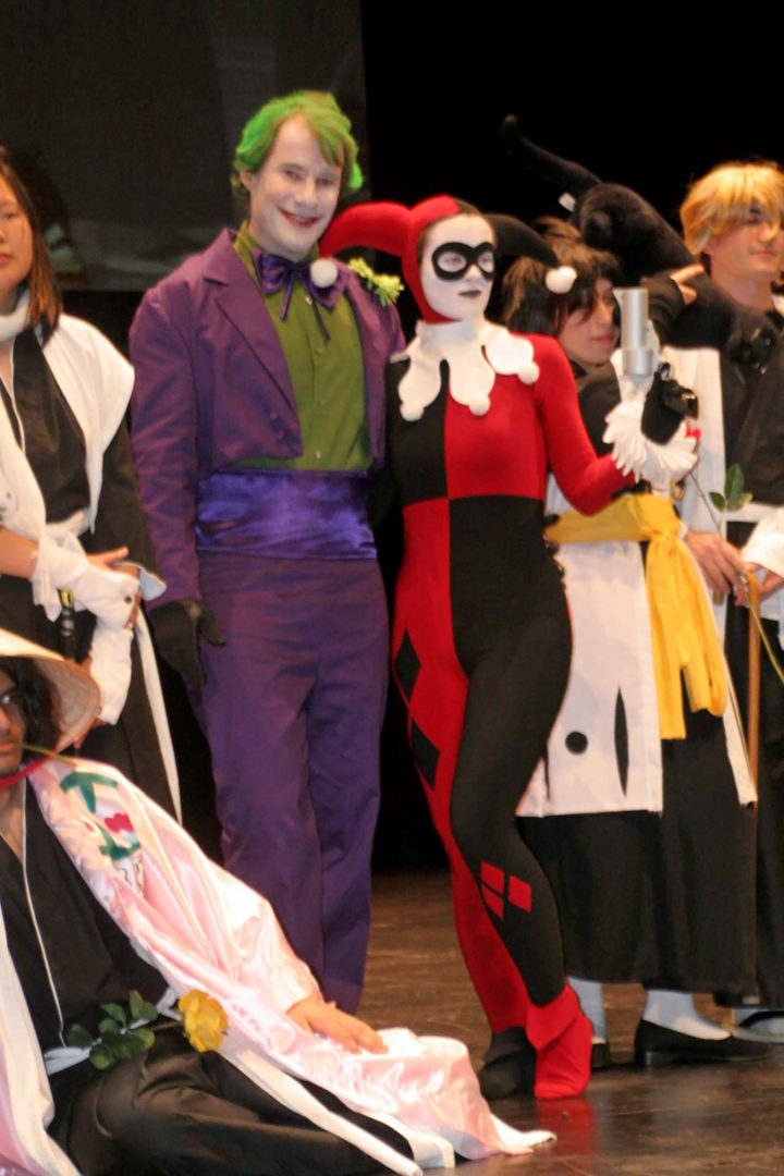 Joker and Harley Quinn Costumes (Batman: The Animated Series)