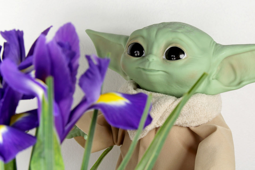 The Child/Baby Yoda with Flowers