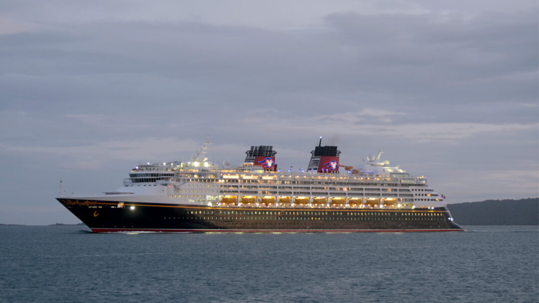 disney wonder cruise nz