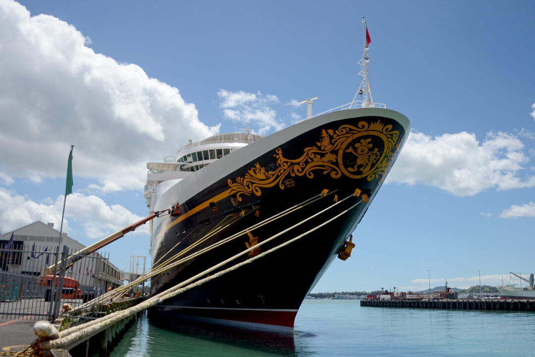 disney wonder cruise nz